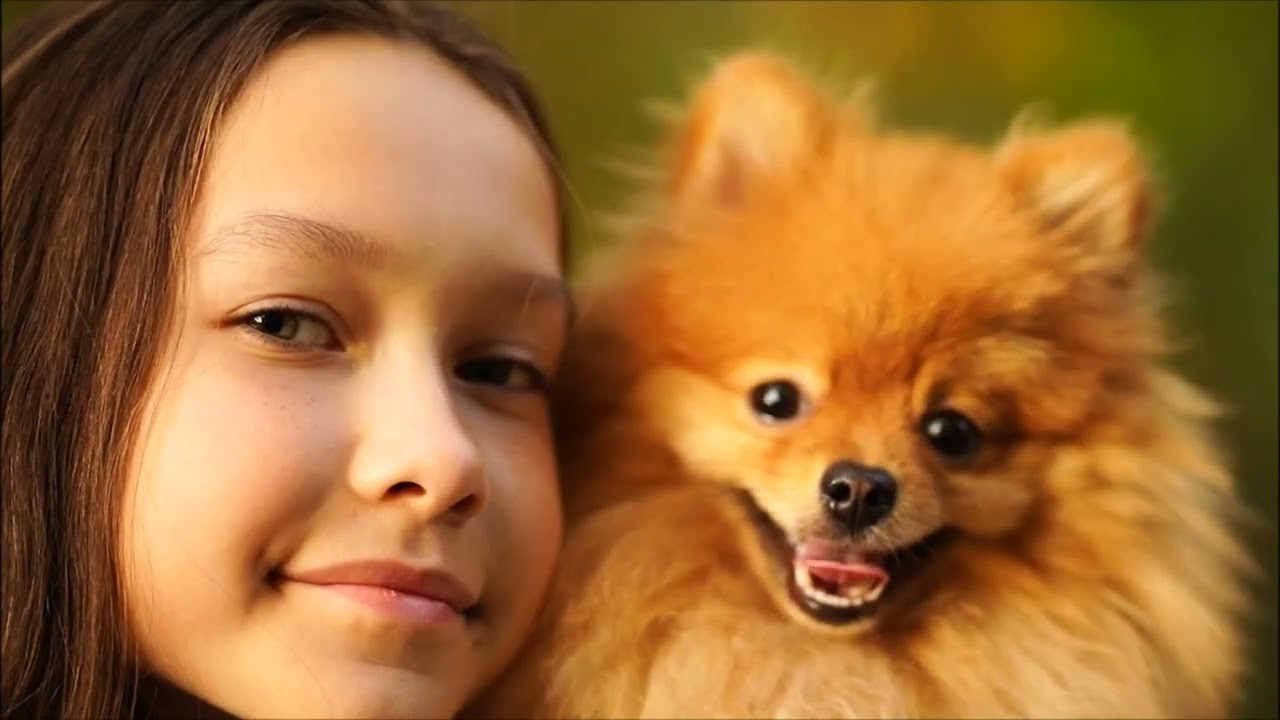 Осенняя съемка. Семейный фотограф и видеограф Ростов-на-Дону