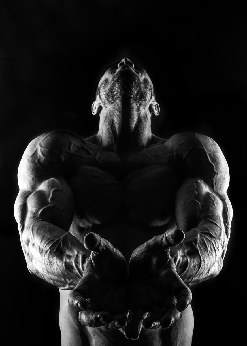 Сила в тени. Фотограф Александра Тимофеева