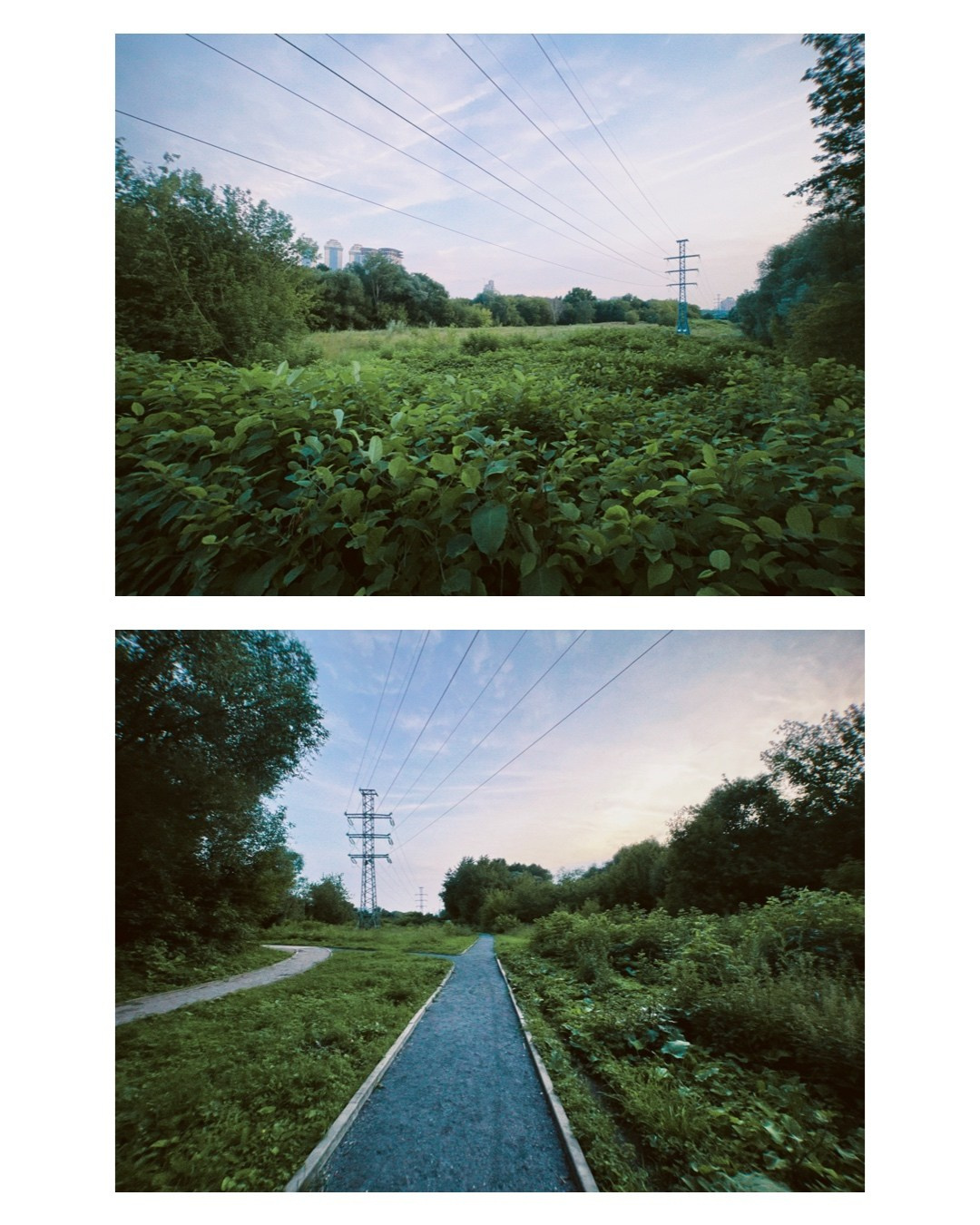 Moscow. Alina Panover