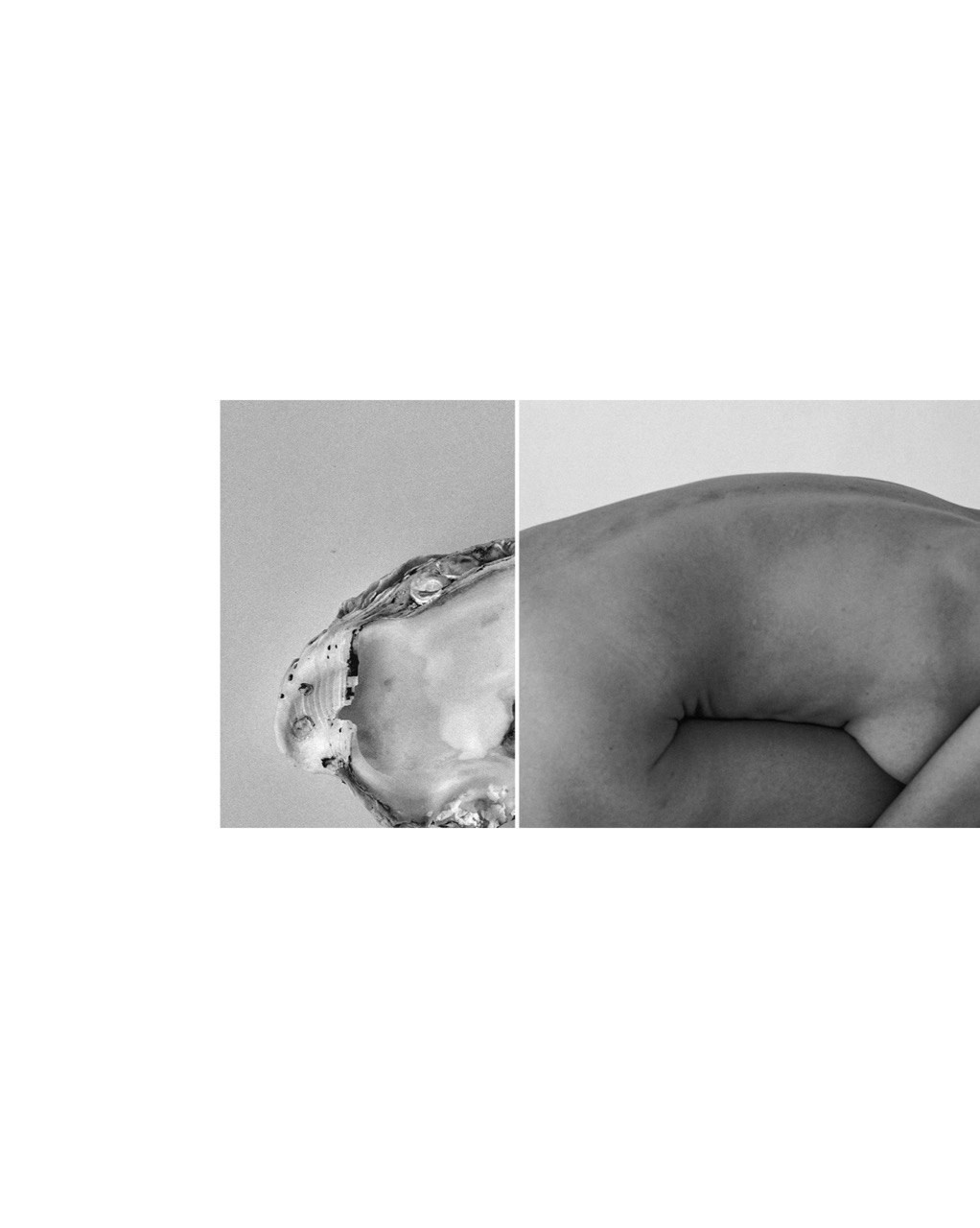 диптих из женского тела и ракушки