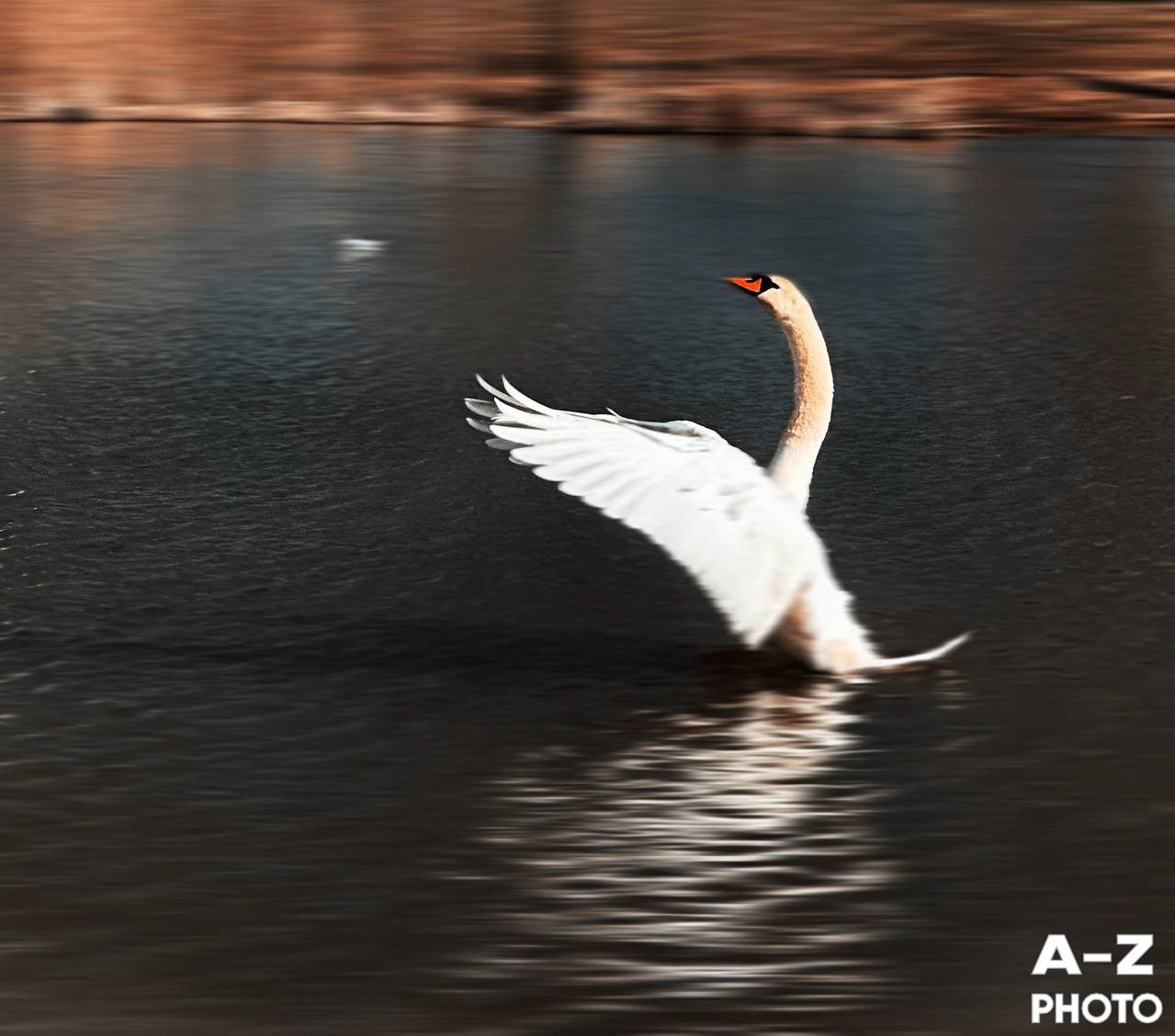 #ФОТОНЕДЕЛИ 13.04.2026. Женский семейный фотограф Тула Москва Захарова Анна