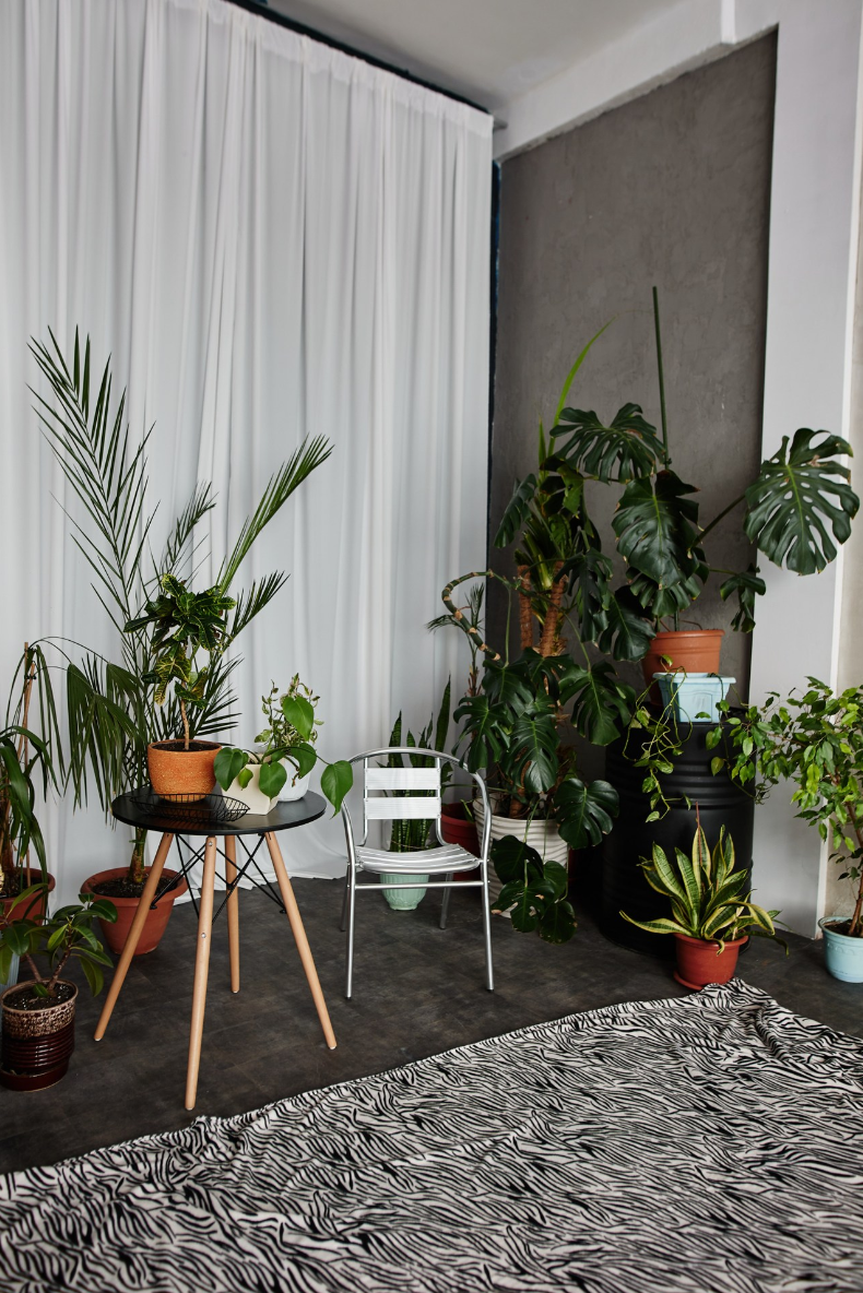 Фотостудии Барнаул. Свадебный репортажный и фуд фотограф в Барнауле Гайфулин Виталий