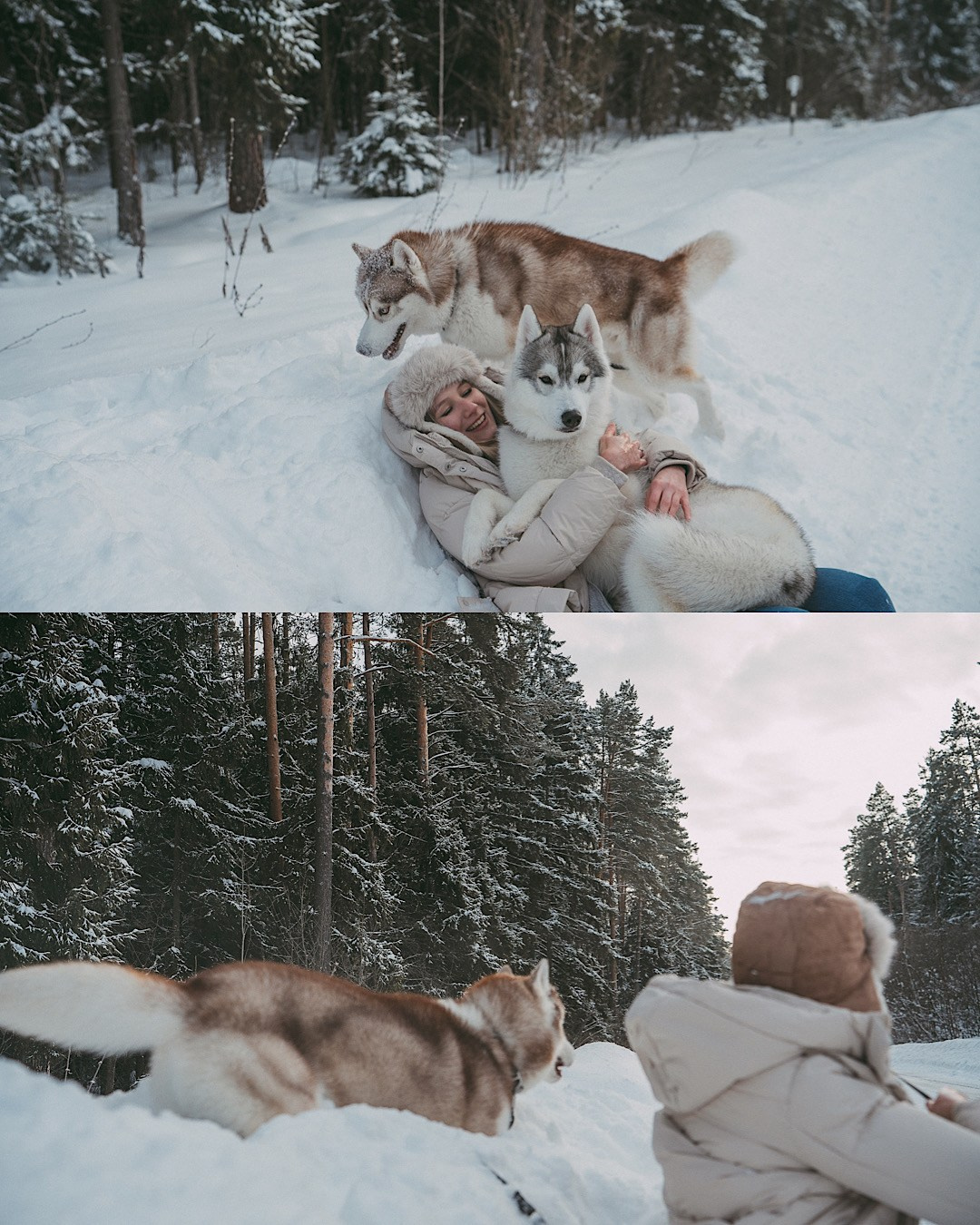 Полина, Уго и Пышка. Фотограф анималист в Москве и Санкт-Петербурге Свиридова Анна
