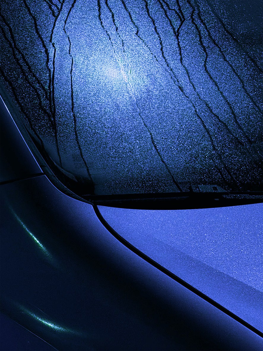 Калининград «ОЧЕРТАНИЕ РЕАЛЬНОСТИ». ARTEXPOPHOTO