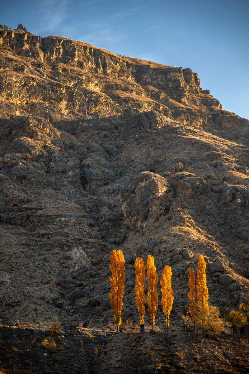 Фото-Туры. Свадебный и семейный фотограф в Екатеринбурге Михаил Лежнев