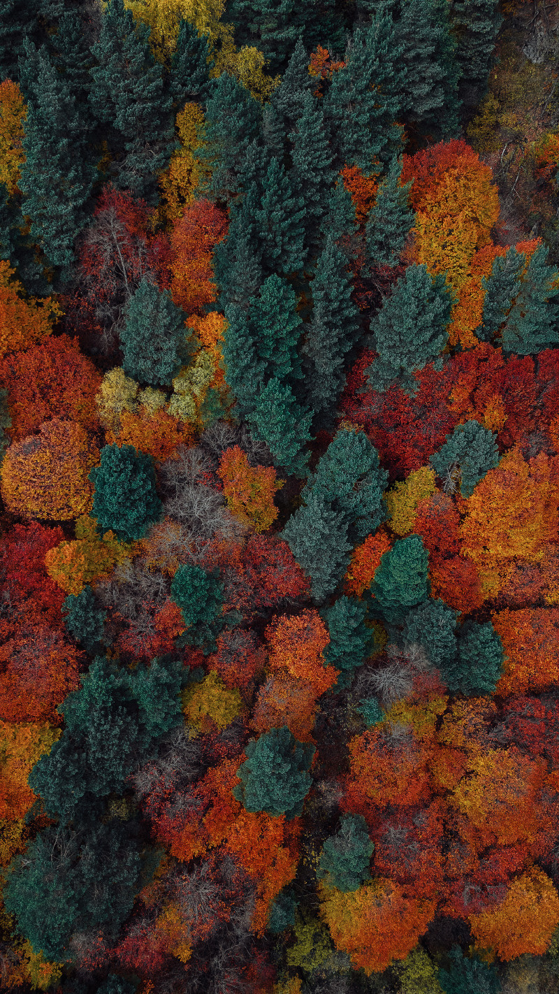 Фото-Туры. Свадебный и семейный фотограф в Екатеринбурге Михаил Лежнев