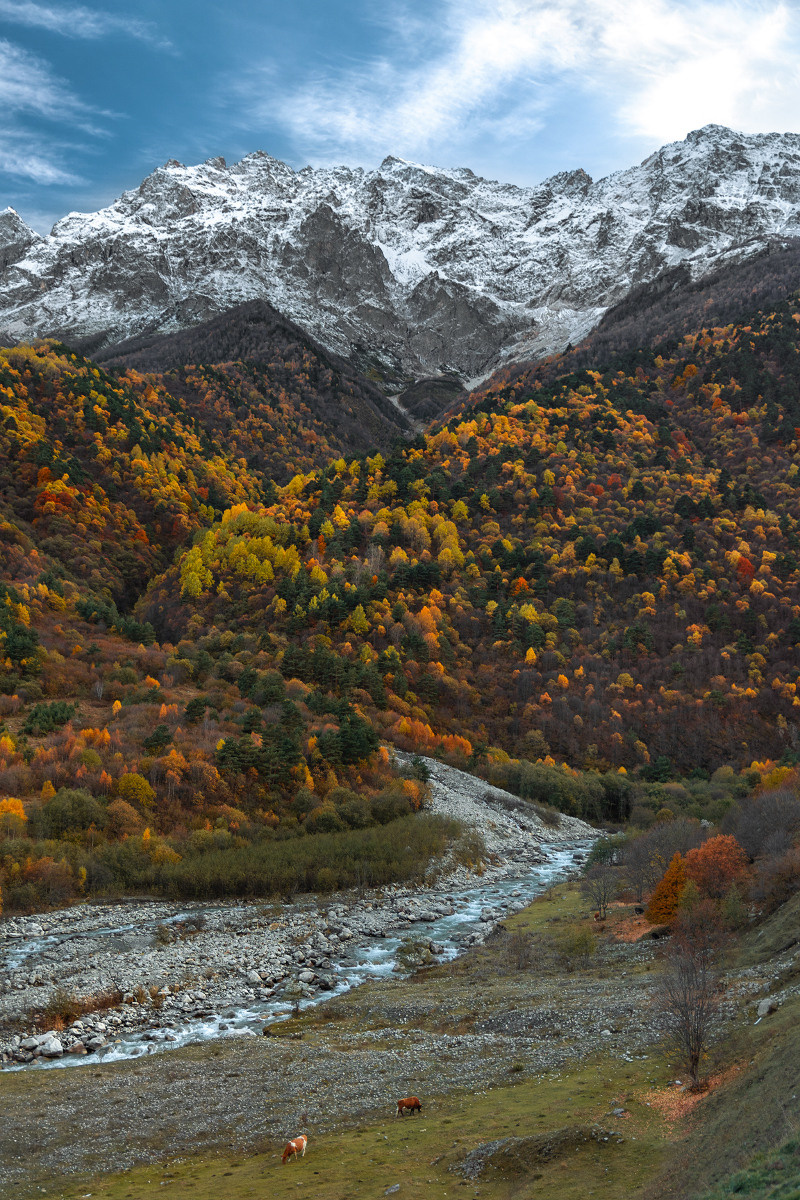 Фото-Туры. Свадебный и семейный фотограф в Екатеринбурге Михаил Лежнев