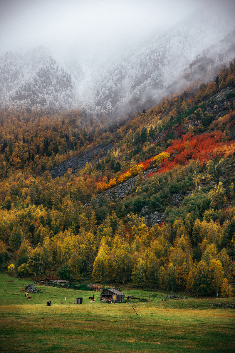 Фото-Туры. Свадебный и семейный фотограф в Екатеринбурге Михаил Лежнев