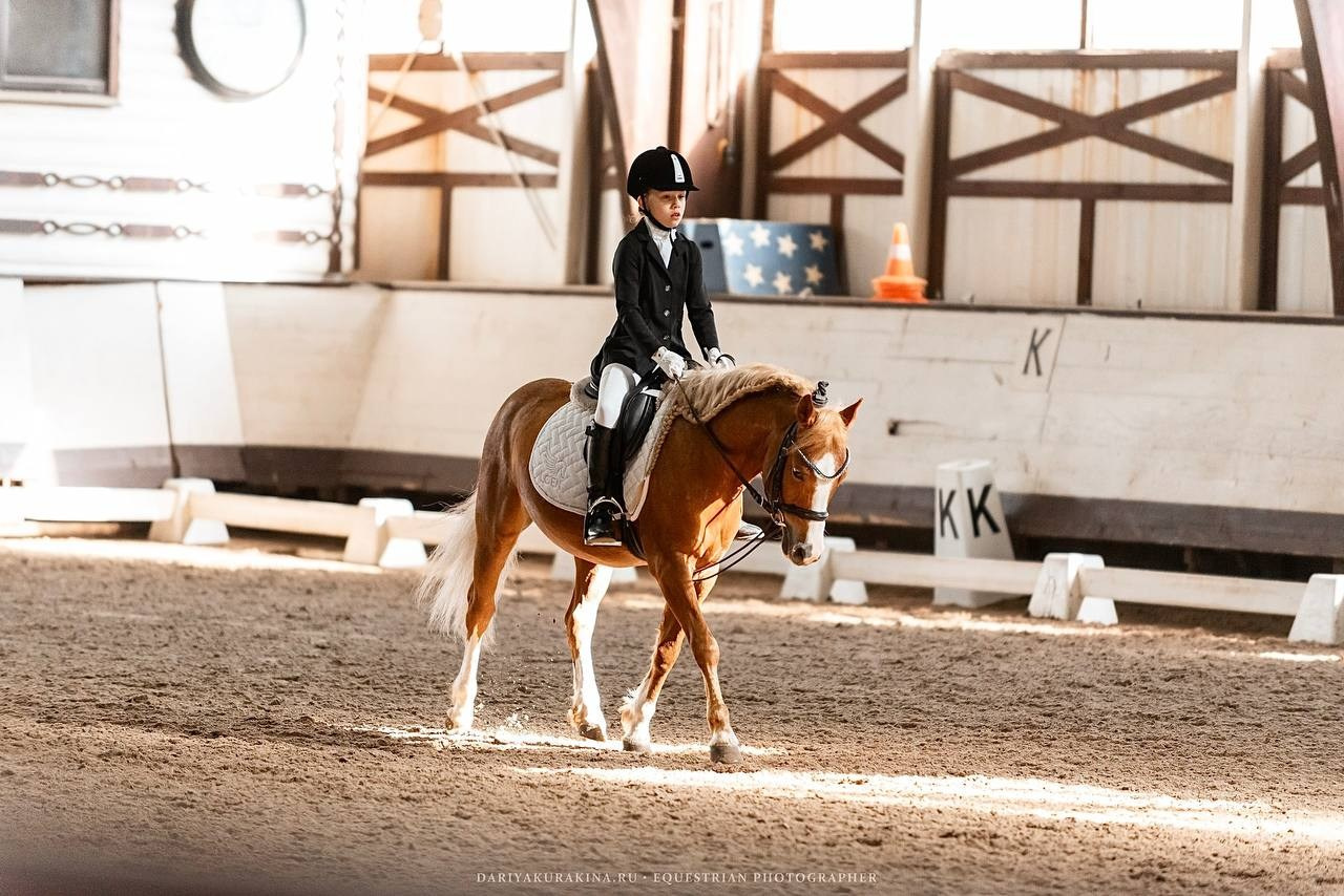 Муниципальные соревнования по выездке «Весенний Кубок КСК «Белая дача». Конный фотограф Куракина Дарья • Фотосессии с лошадьми