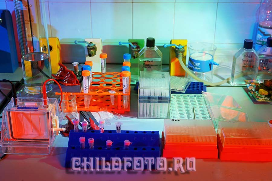 Институт Белка г. Пущино. Skazka.wfolio.pro