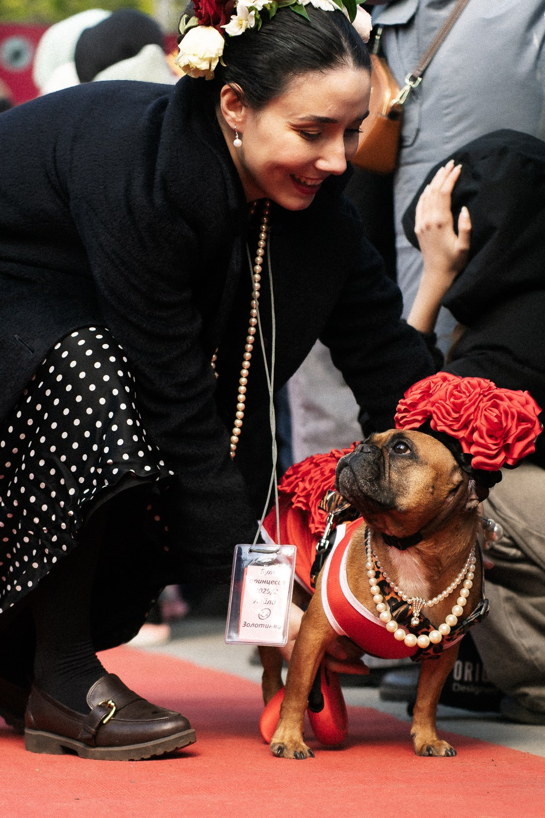 Парад Бульдогов. Axenov_eugene