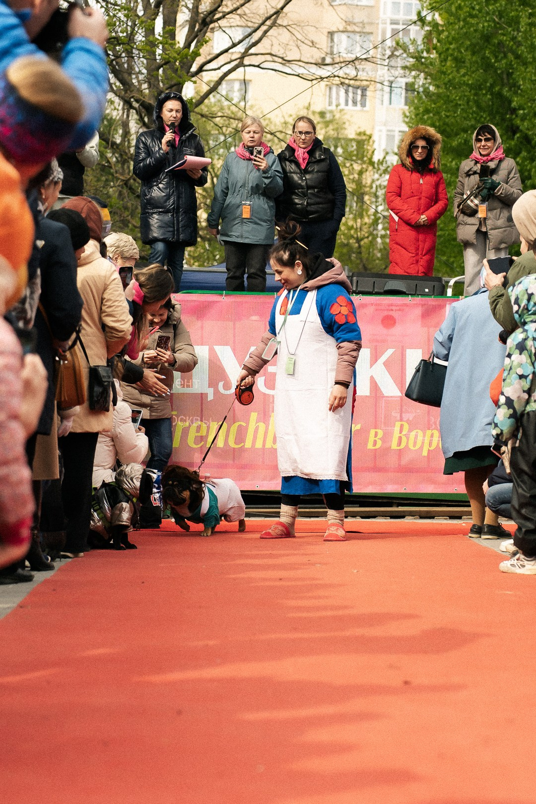 Парад Бульдогов. Axenov_eugene