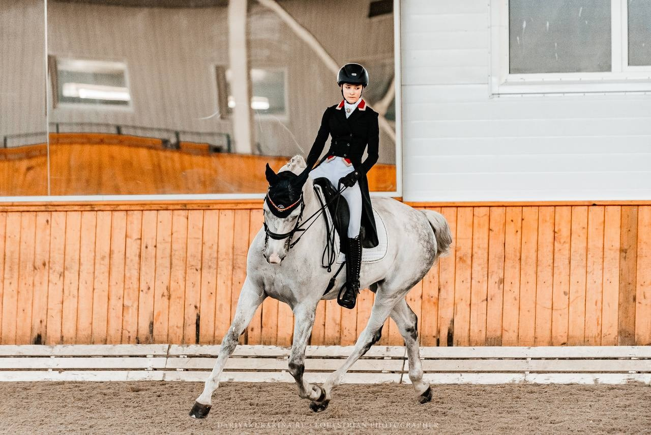 ЗОЛОТАЯ ОСЕНЬ КСК «КОНКОРД», ВЫЕЗДКА. Конный фотограф Куракина Дарья • Фотосессии с лошадьми