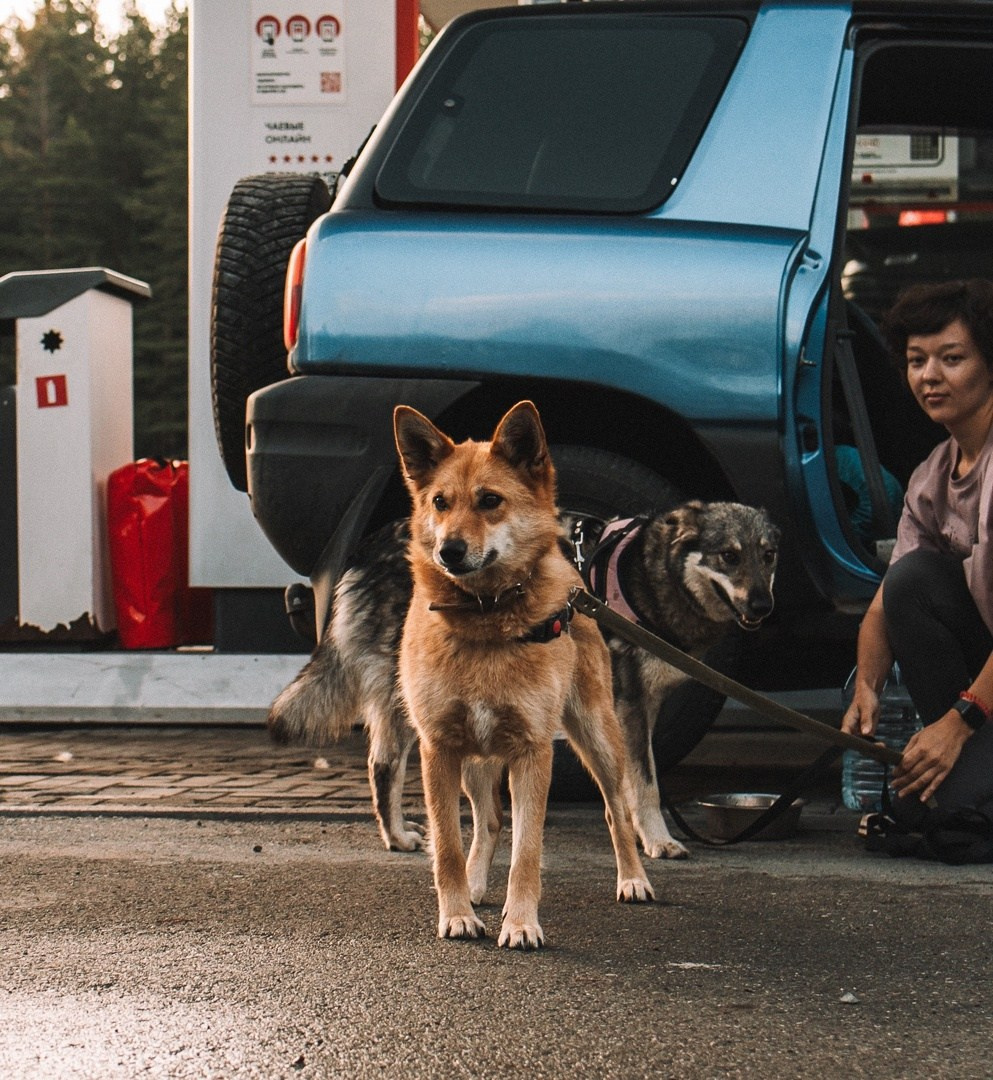 Главный Уральский Хребет