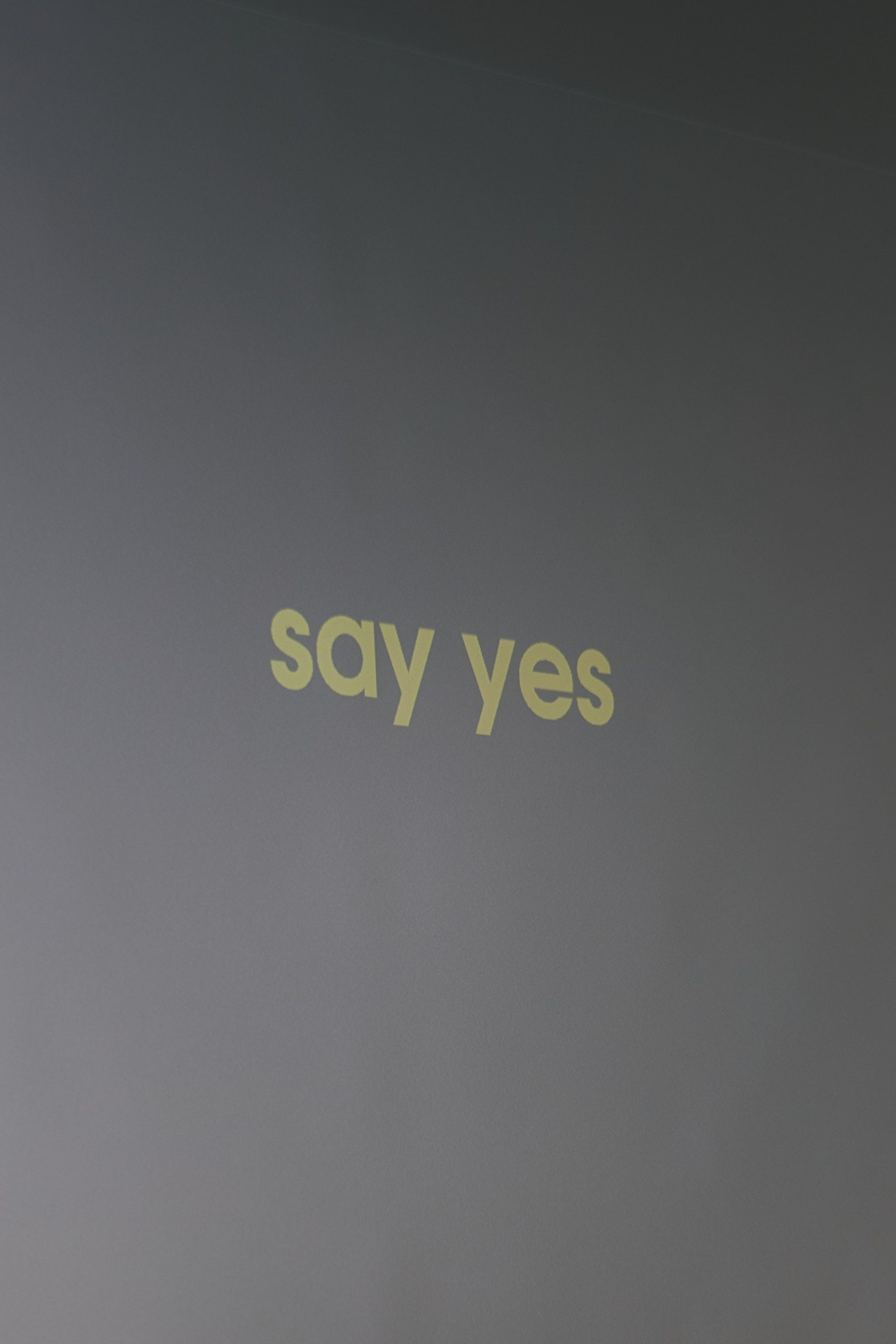 Отзывы. Фотограф Москва, Дима Пеллер