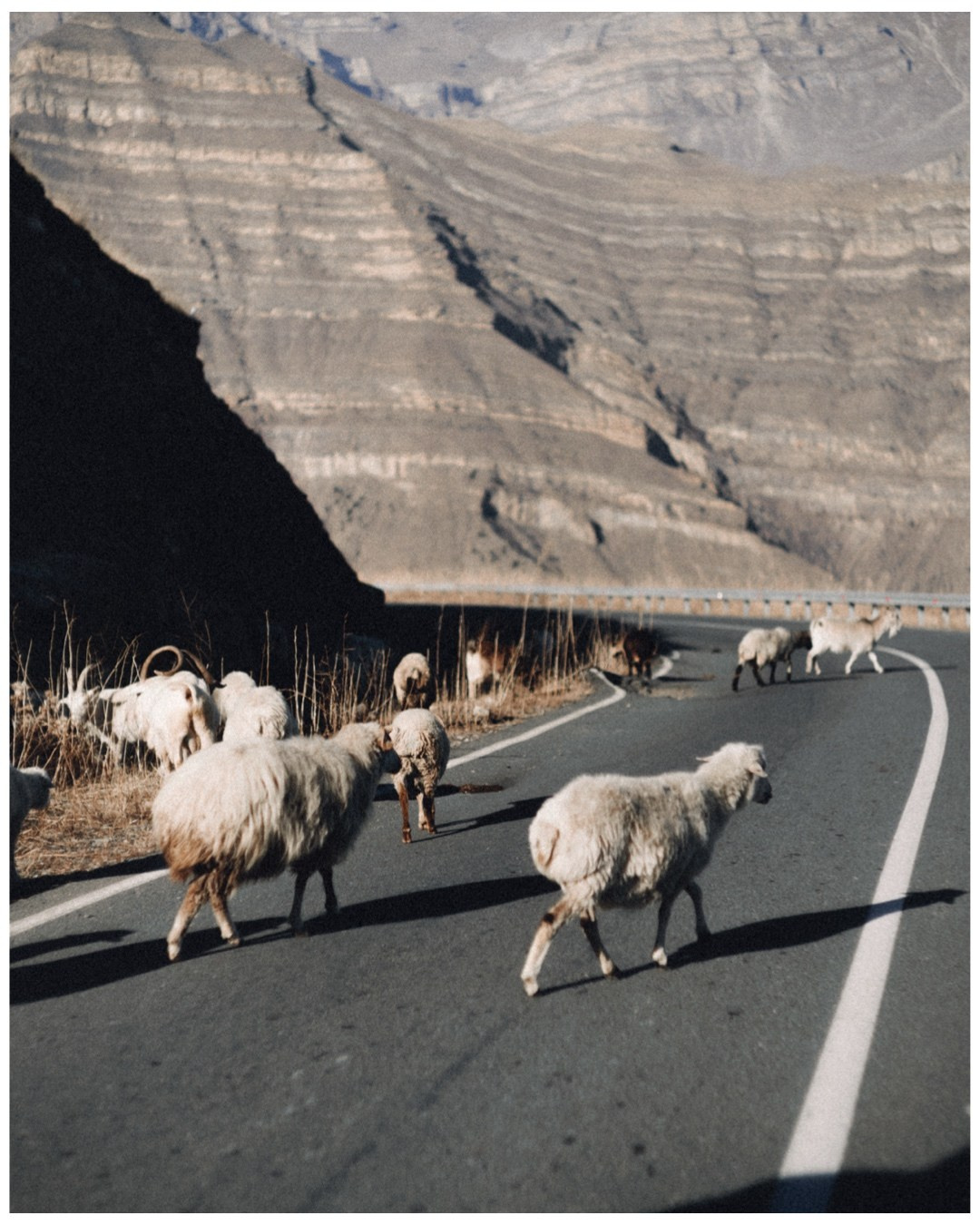 Дагестан. Фотосъёмка для компании по организации туров