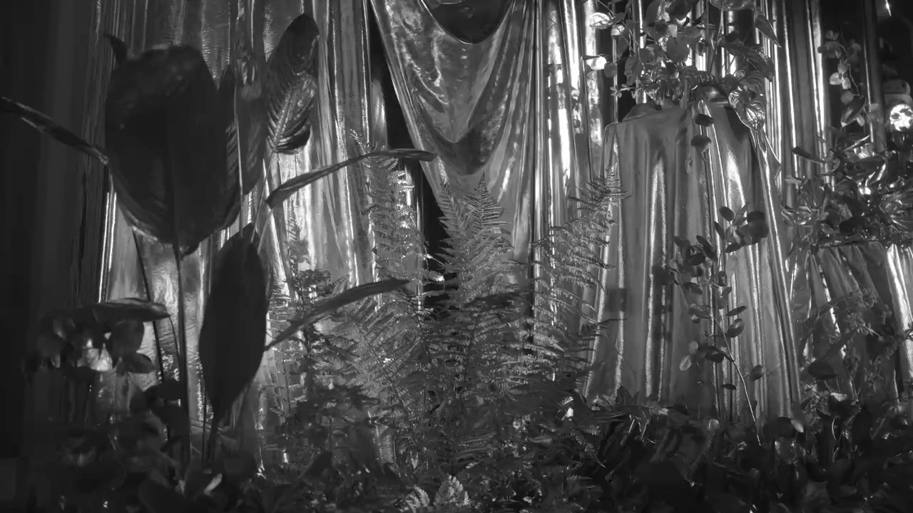 Анна и Станислав. Агата Акварель видеограф Сочи Краснодар