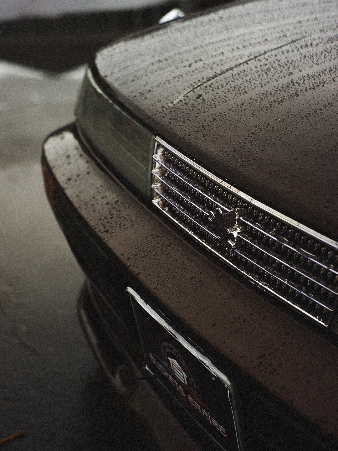 DRIFT EXPO 2022. GRAINTHUG | PHOTO