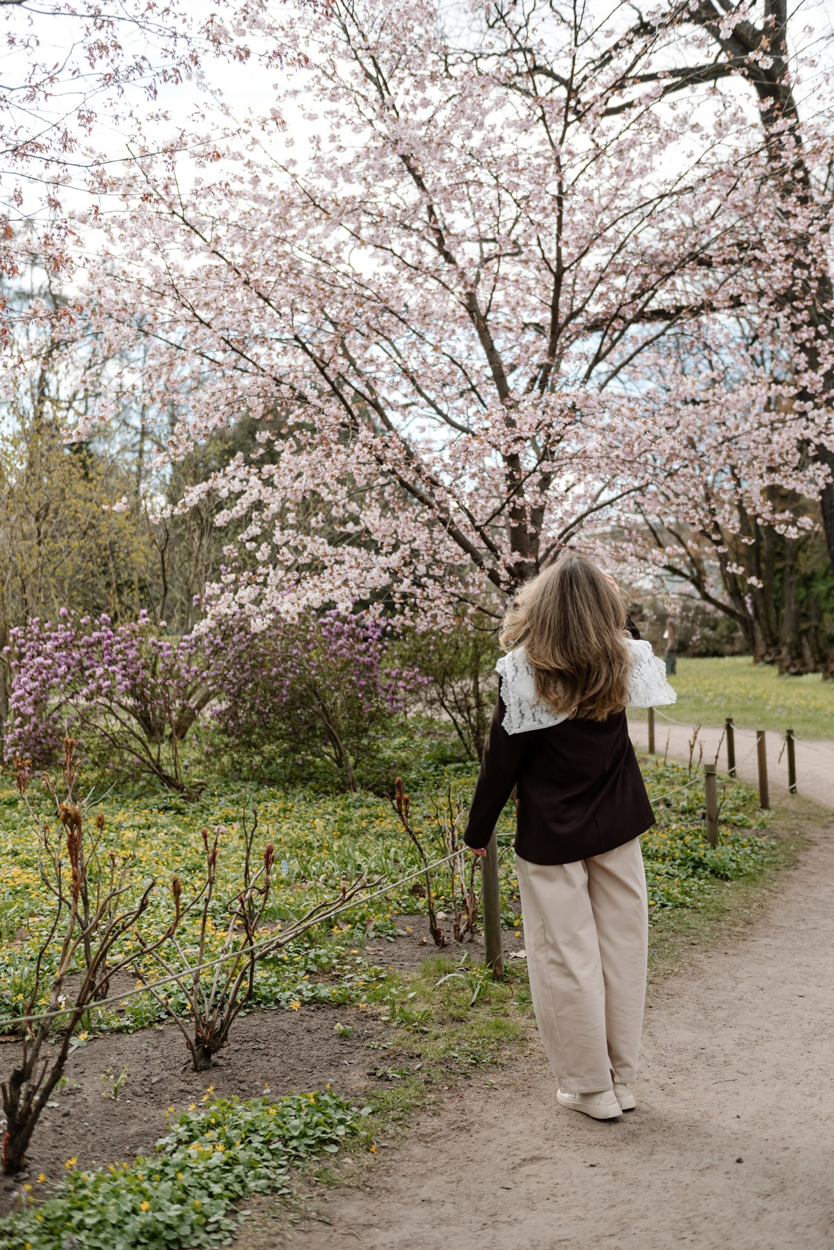 Марина с сакурой. Свадебный и семейный фотограф в Санкт-Петербурге Елена Худякова