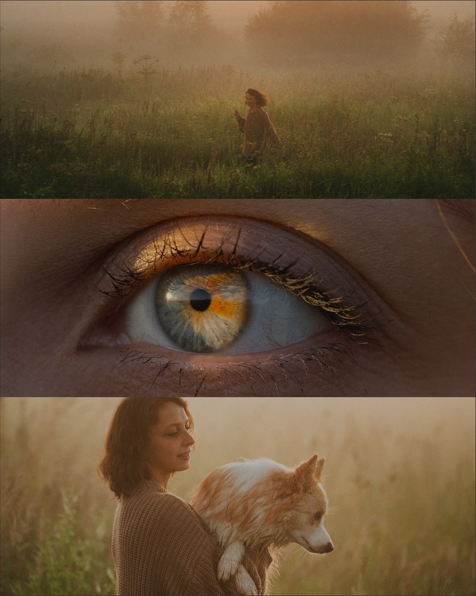 Рина и Марси. Фотограф анималист в Москве и Санкт-Петербурге Свиридова Анна