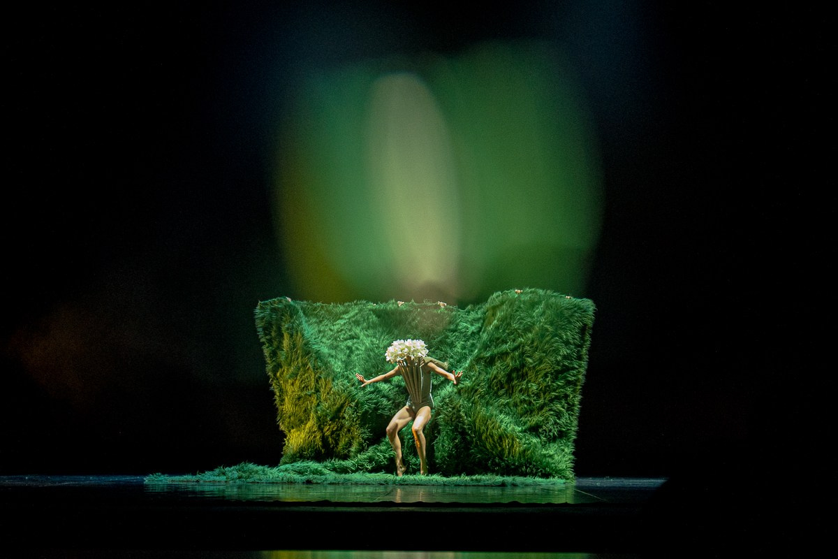 Новофест Фестиваль современного танца. Главная