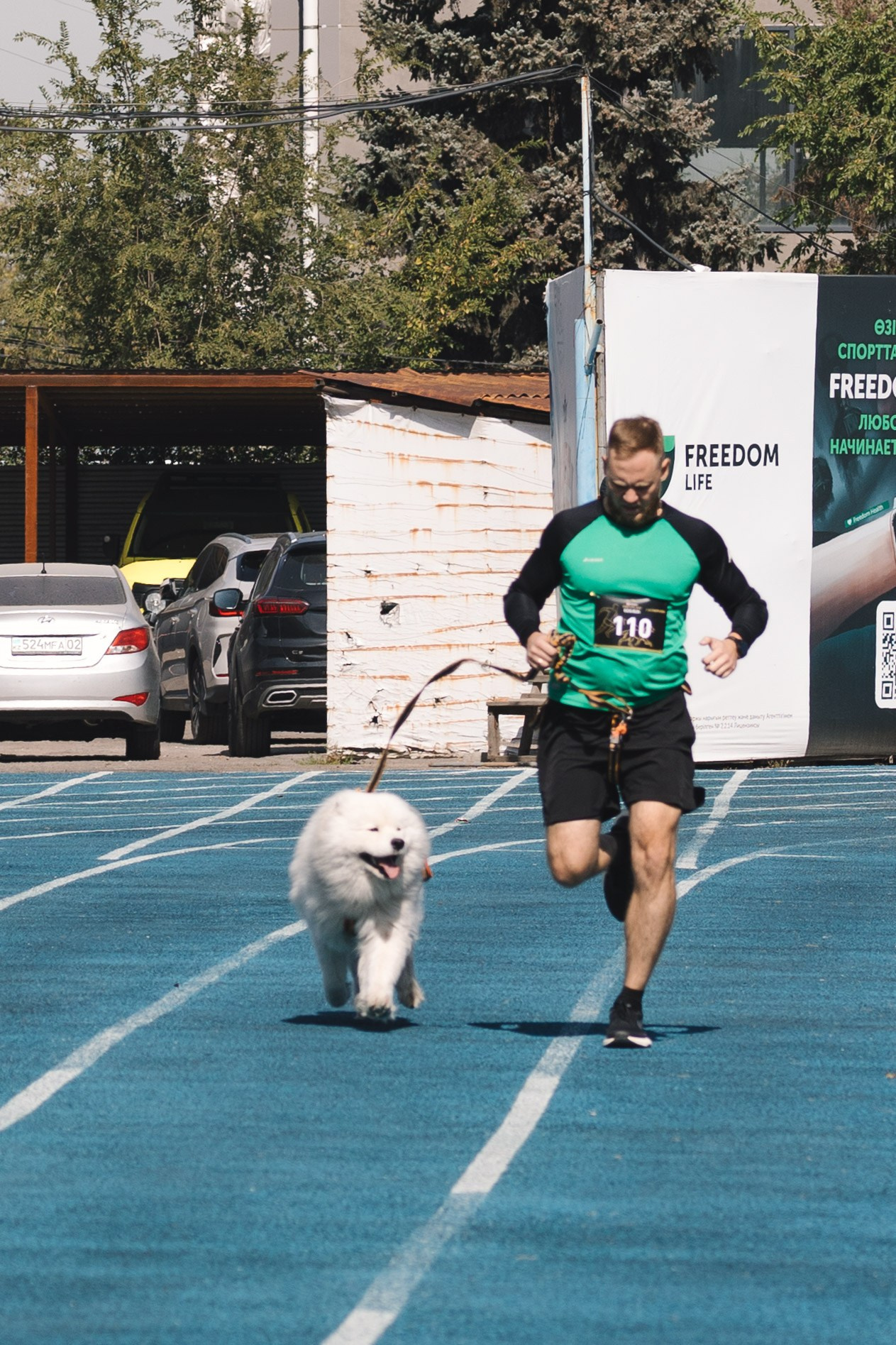 Proplan Dog Run. Коммерческий фотограф в Алматы Марина Милис. Съёмка для брендов, компаний и проектов
