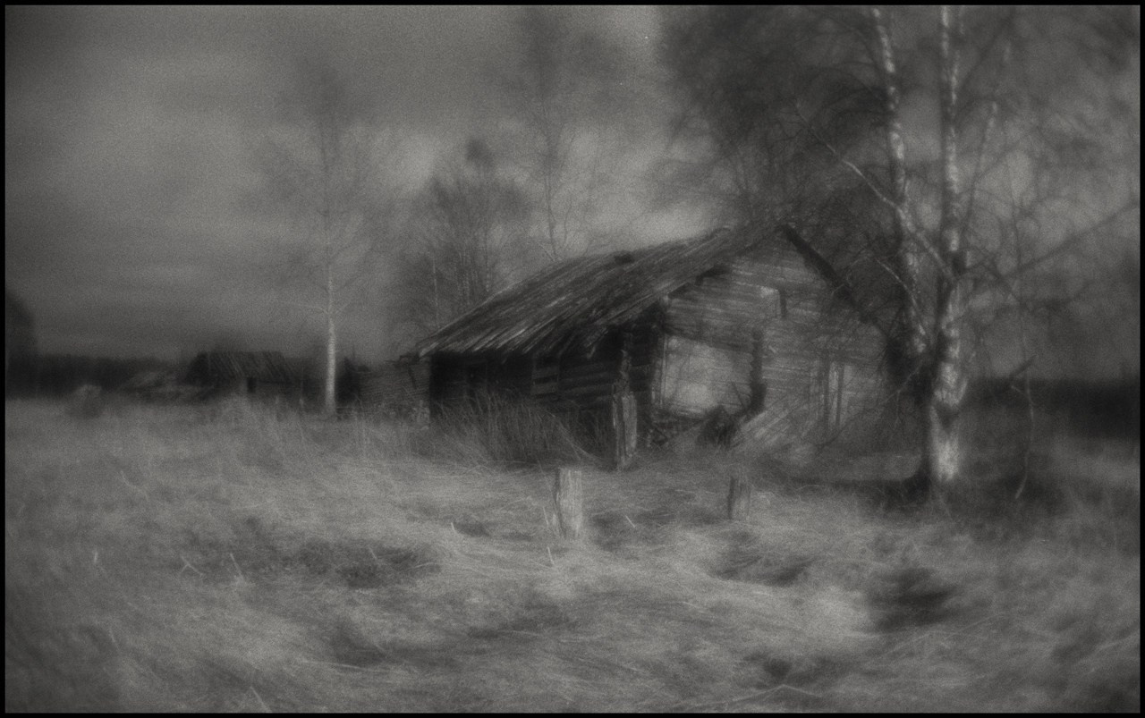 д. Филипповская, село Почозеро, Плесецкий район, Архангельская область. 2024 г.