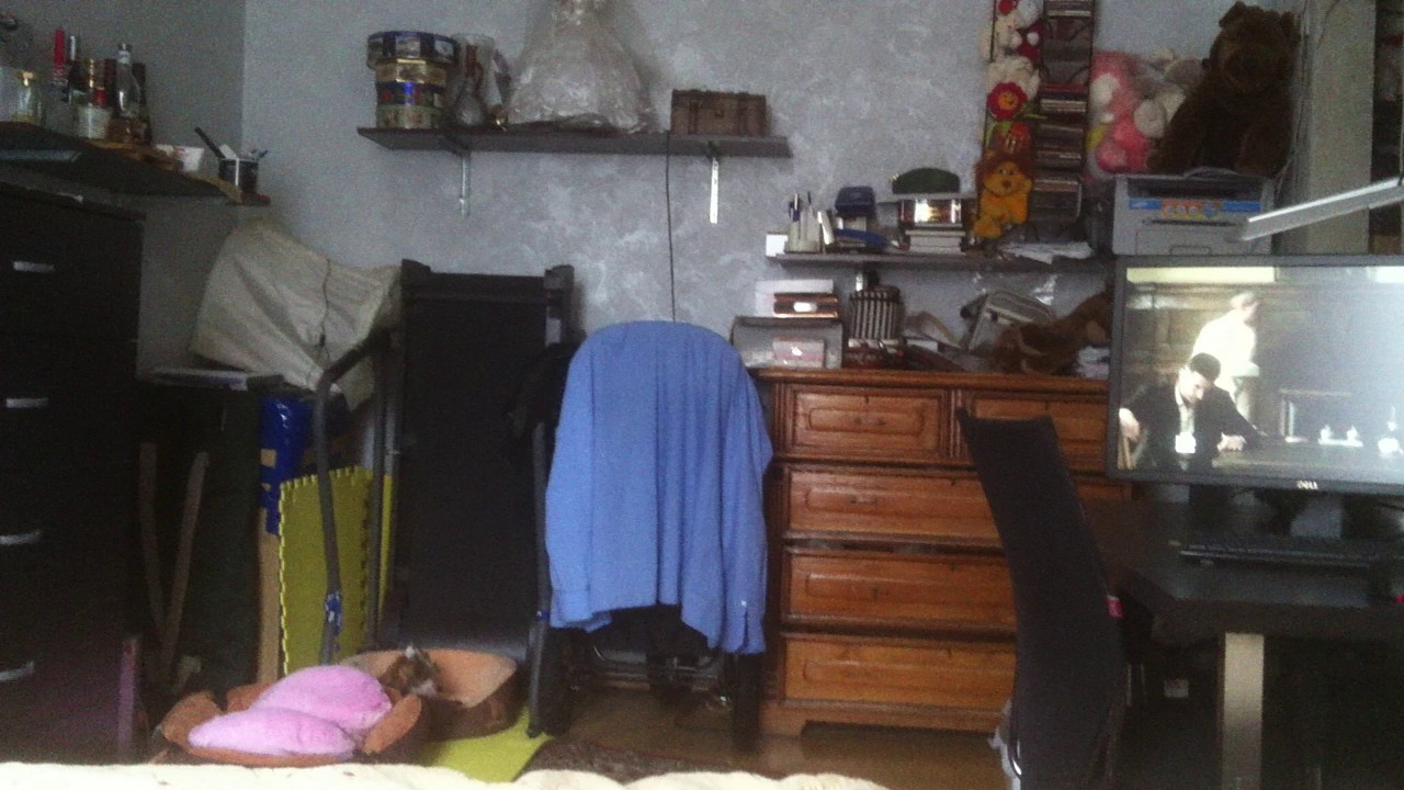 Lux, a new member of the family. Poale Ell Chinese Crested Dog Kennel: Buy a puppy from the kennel