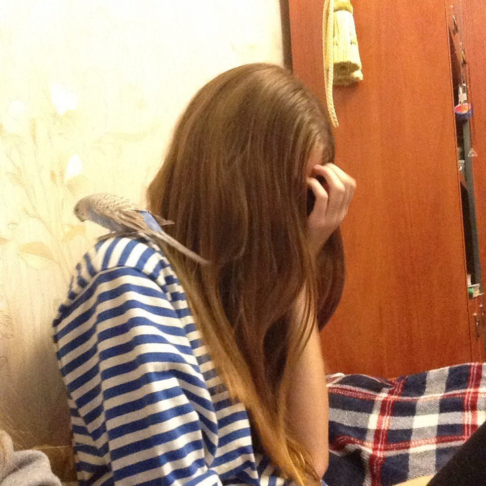 Октябрь. Семейный, Свадебный фотограф СПБ Питер— Романова Екатерина