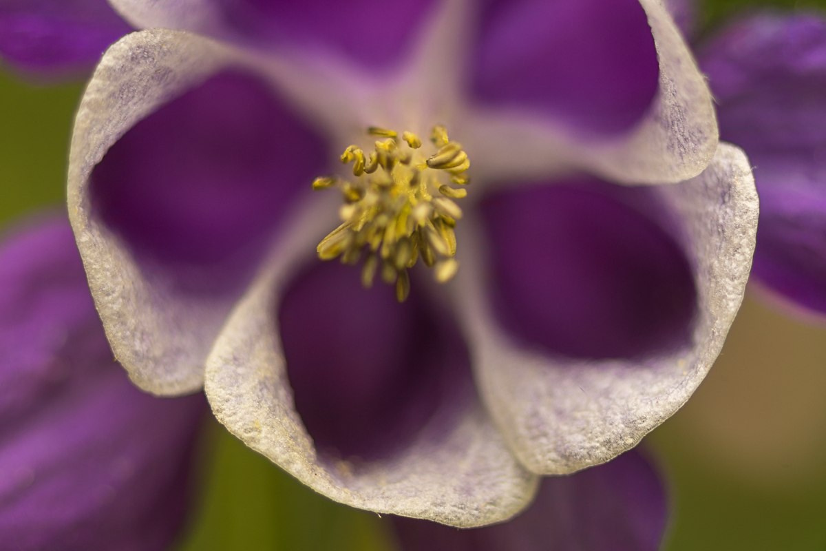 Макро. ZAGLADIN Bureau