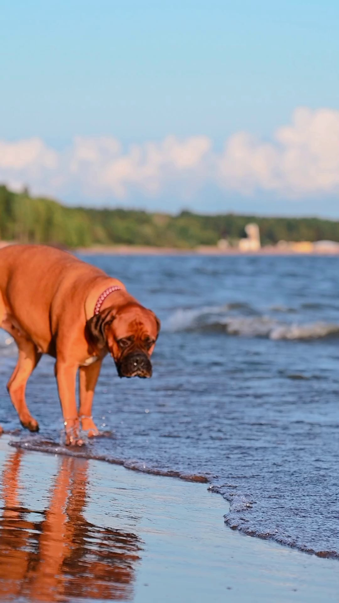 Фотограф в Санкт-Петербурге Александра Ладыгина