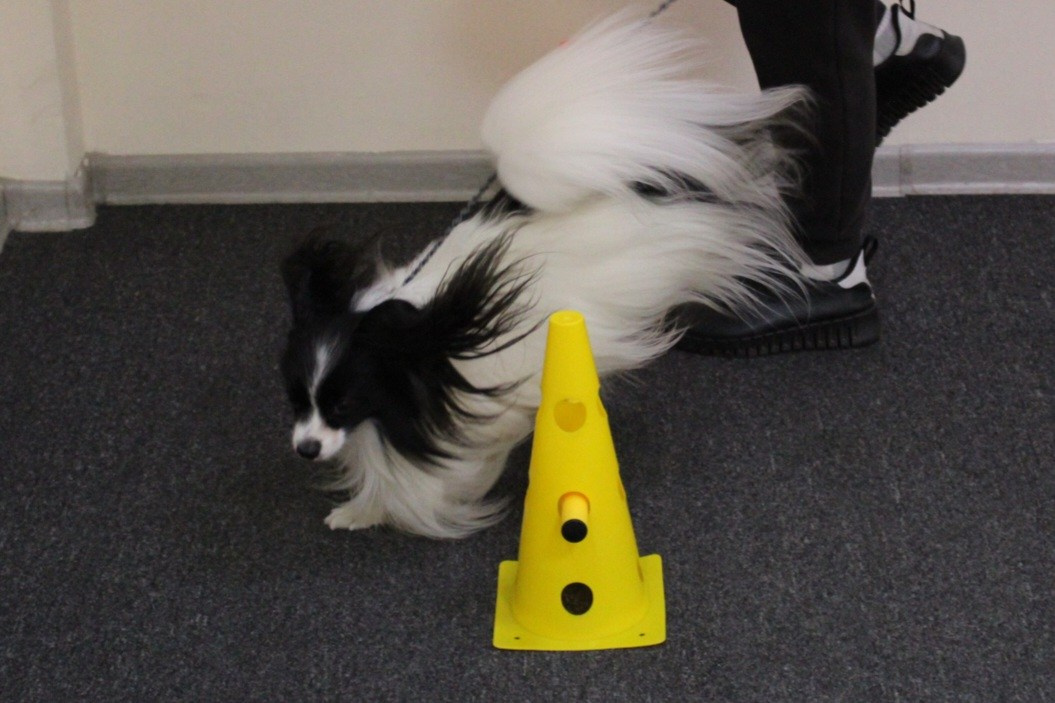 Репортаж УС «ДЦ Ральф». Катя Попова|ЛайфСтайл фотограф