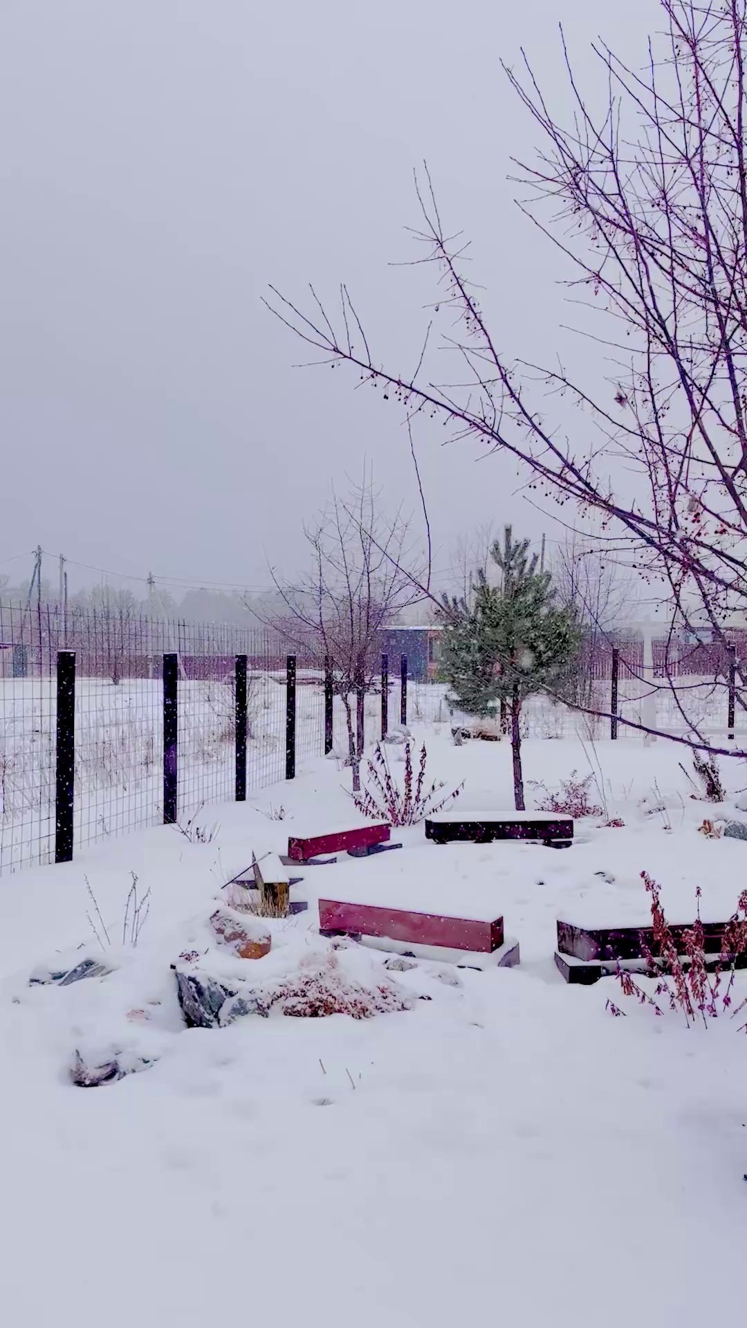 Аренда гостевого дома в горах. Семейный фотограф в Барнаул/Горный Алтай, Аренда дома в горах