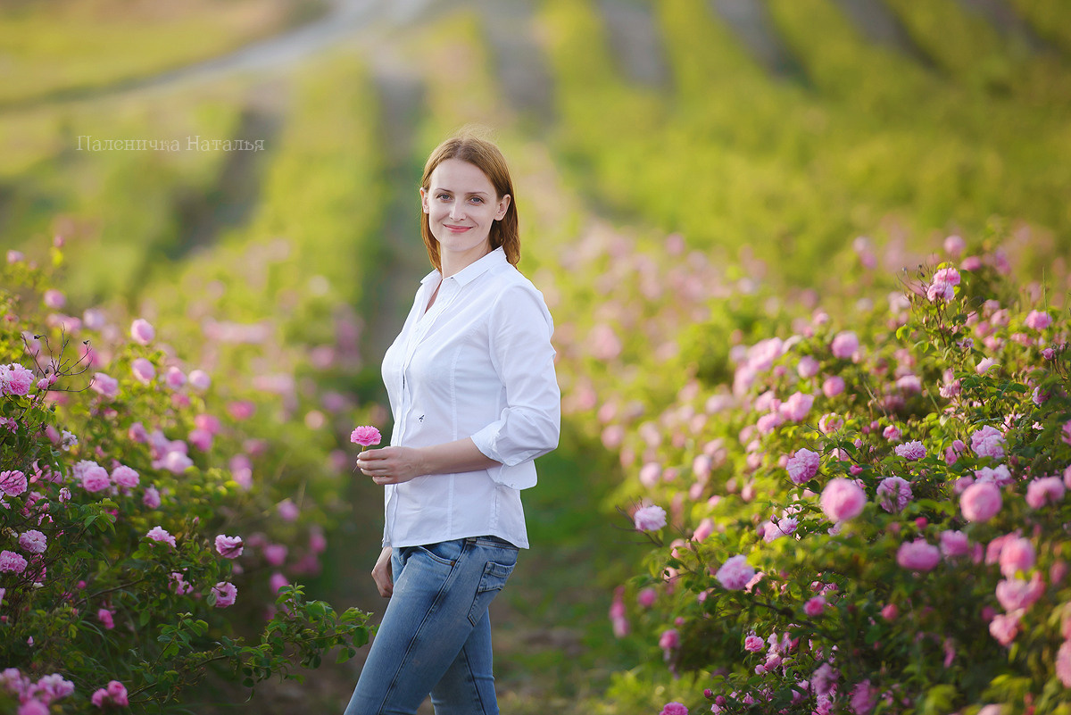 Фотограф в Севастополе, фотосессия в цветущем поле роз