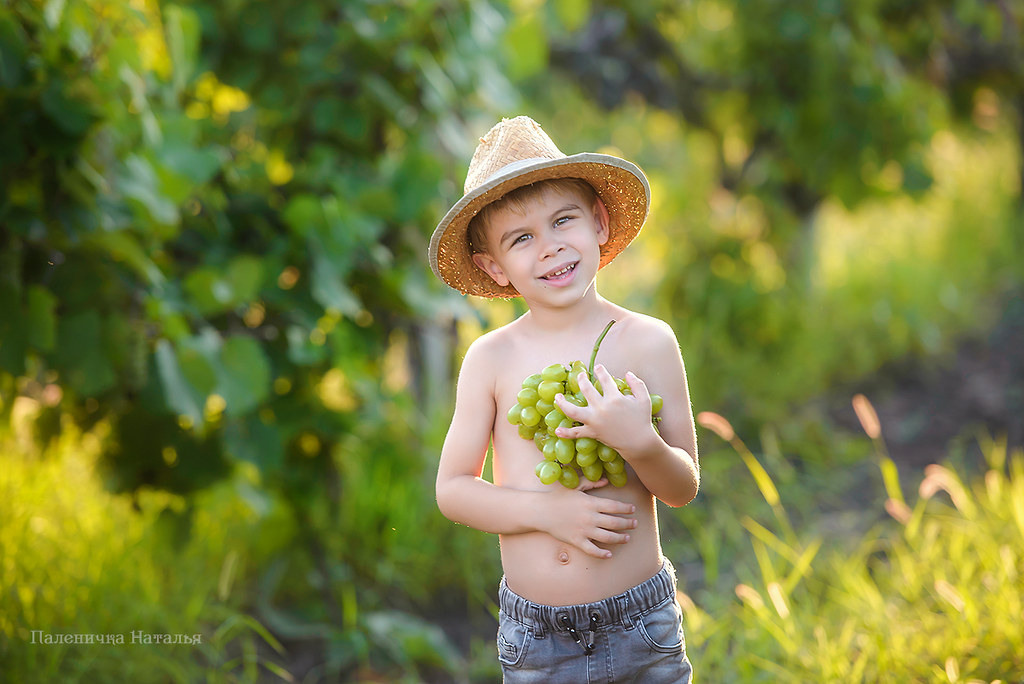 детская фотосессия в Севастополе на виноградниках
