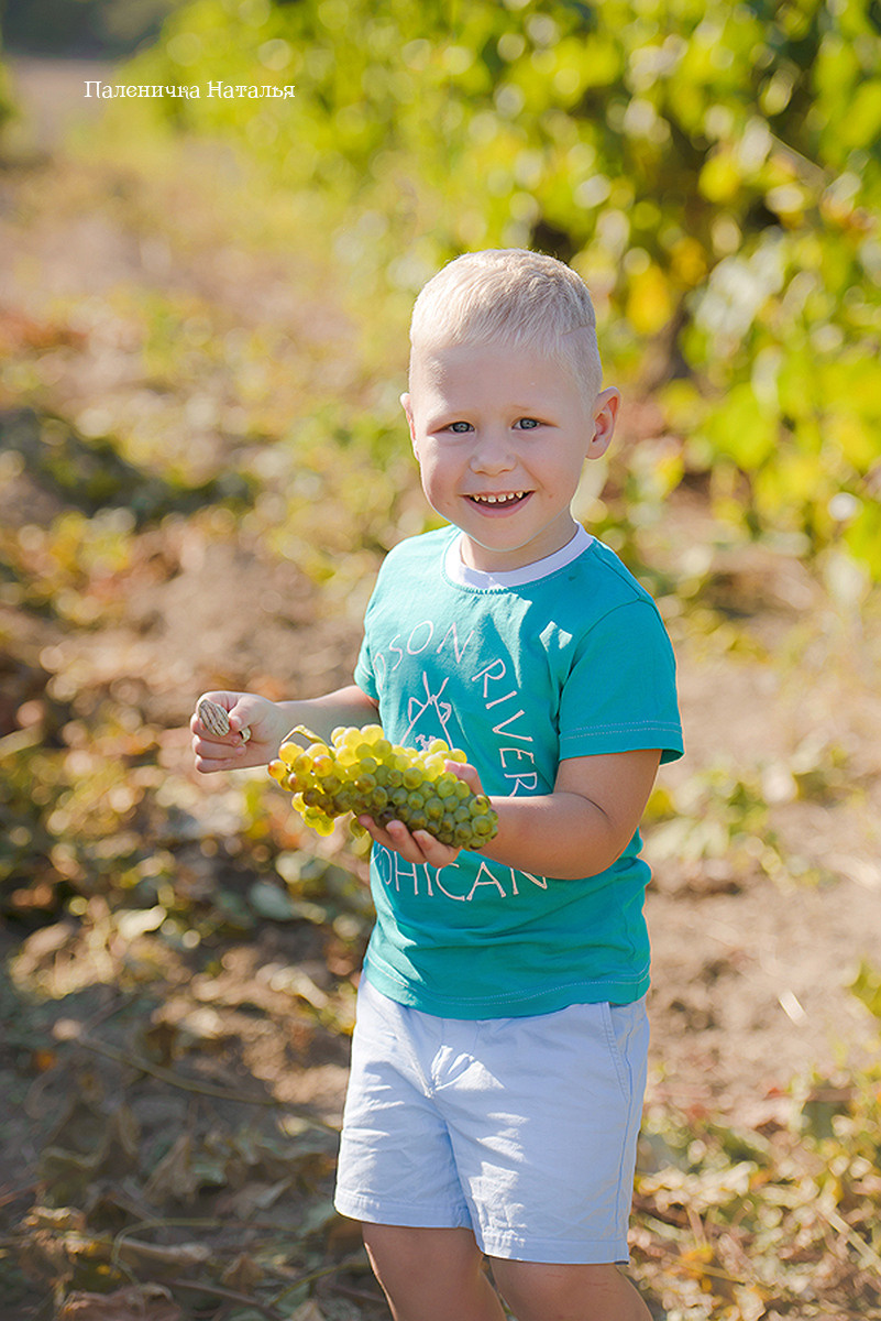 детский фотограф Севастополь.  Детская фотосессия на винограднике