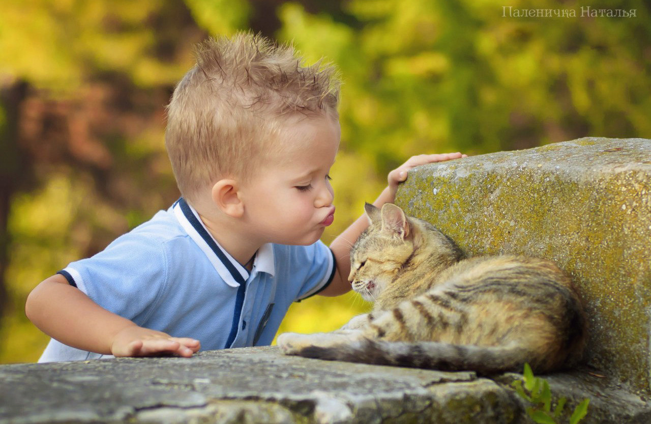 детская фотосессия  с котом в Севастополе 