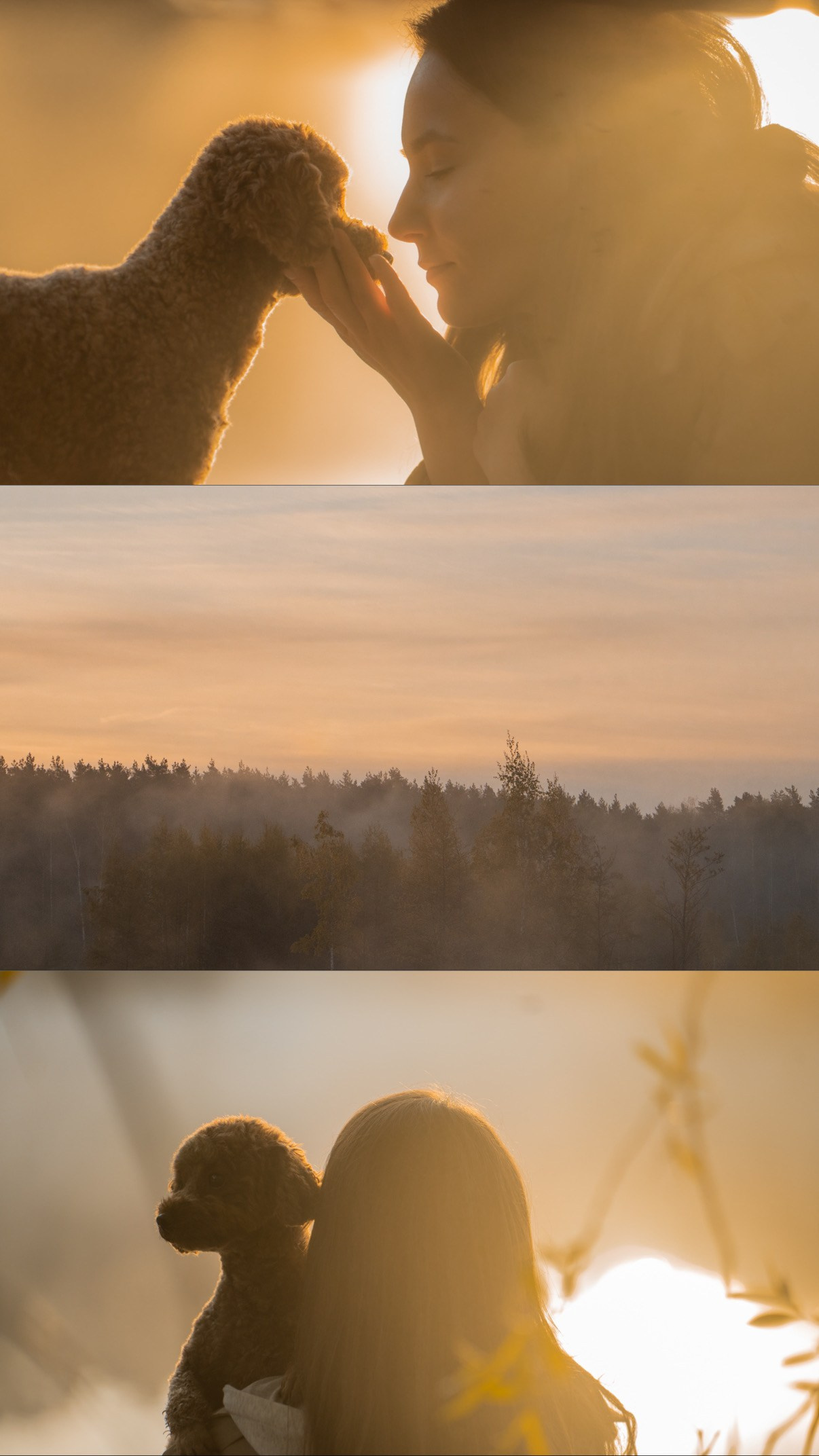 Лия и Чарли. Фотограф анималист в Москве и Санкт-Петербурге Свиридова Анна