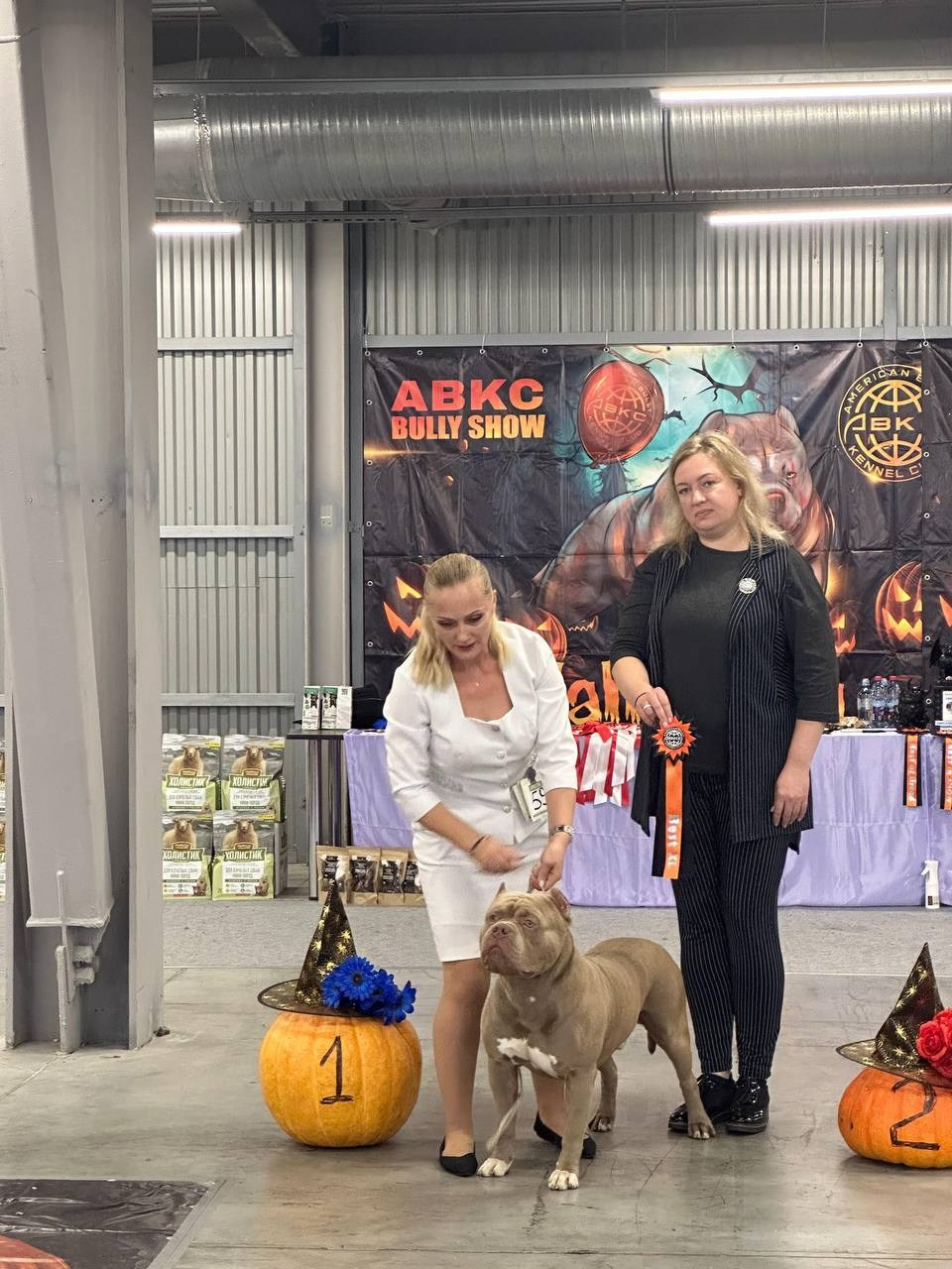 Участие в выставках. Американские булли XL в г. Калининград. Питомник Great Bully UNIVERSE