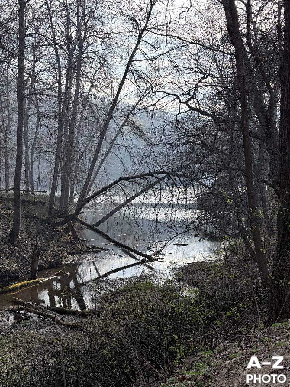 #ФОТОНЕДЕЛИ 20.04.2026. Женский семейный фотограф Тула Москва Захарова Анна