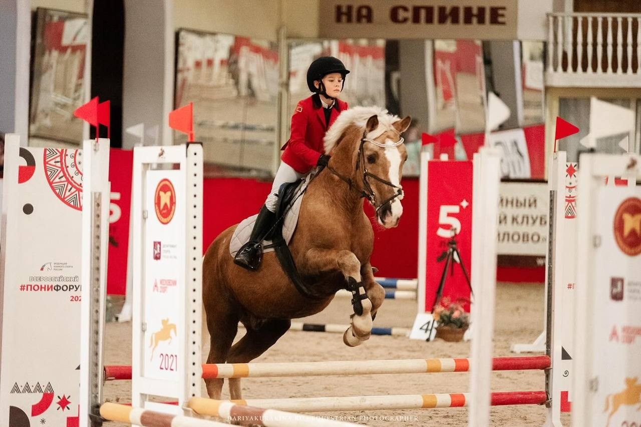 «КУБОК ИМЕНИННИКА» КСК «Измайлово». Конный фотограф Куракина Дарья • Фотосессии с лошадьми