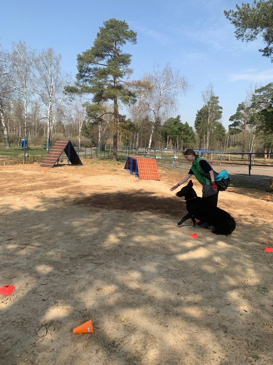 Практические занятия по дрессировке. НРОО КЦ "Собаковод"