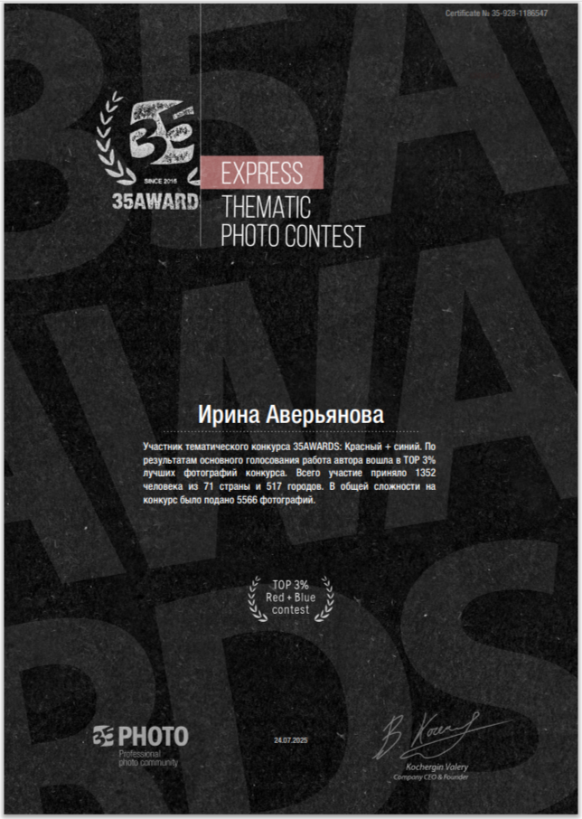 Дипломы и награды. Фотограф в Ульяновске Ирина Аверьянова