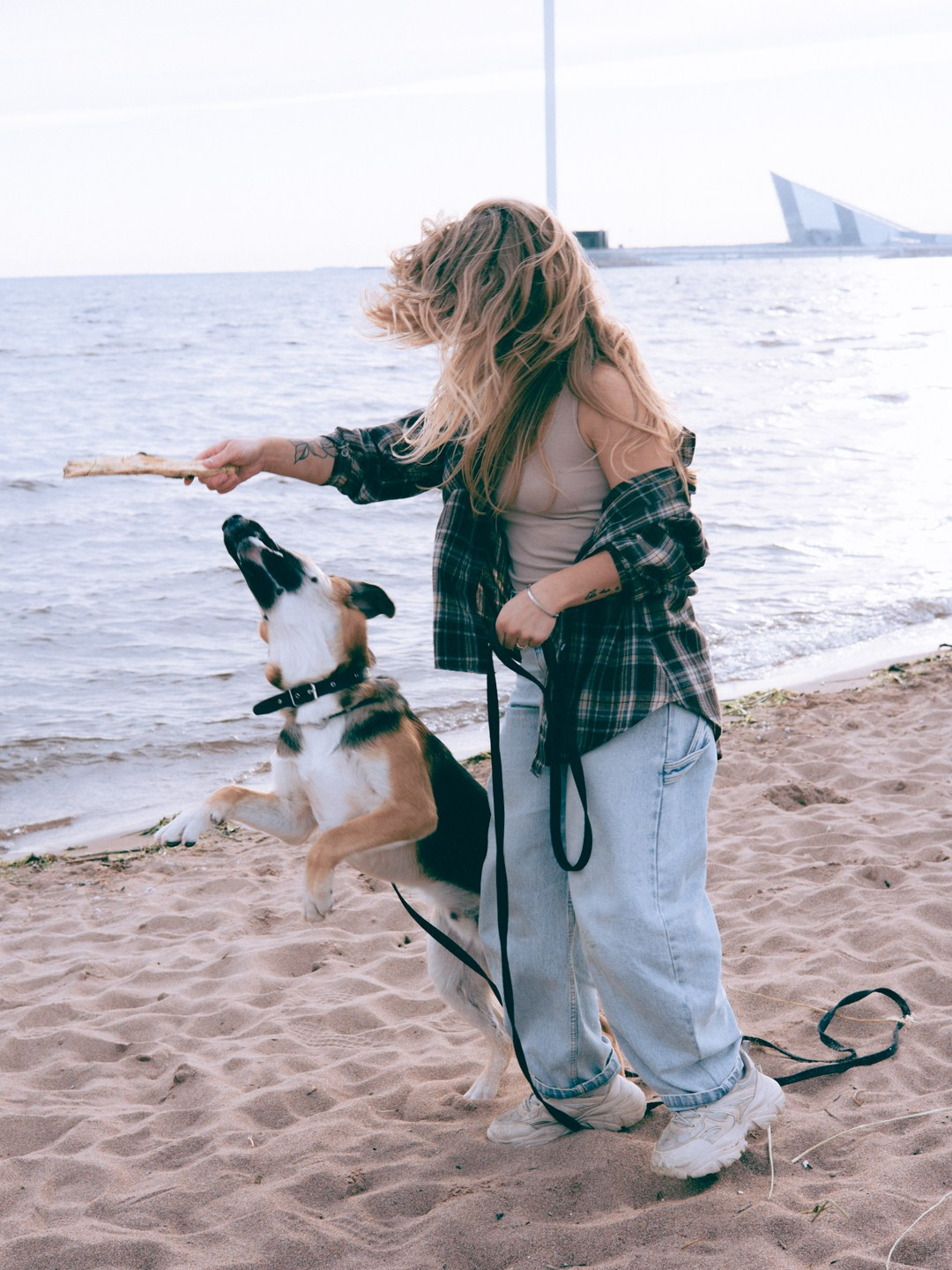 Dogs. Юлия Астра: Фотограф в Санкт-Петербурге. Снимаю женские портреты, уличные съёмки в Петербурге и людей с их собаками
