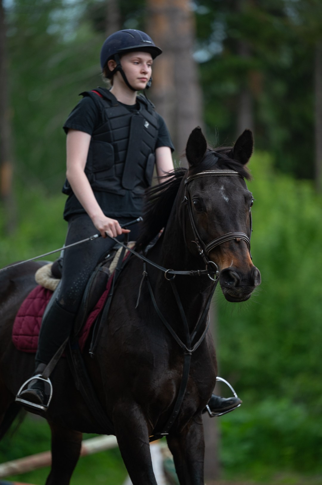 Конюшня. Мир живой фотографии о Вас и для Вас