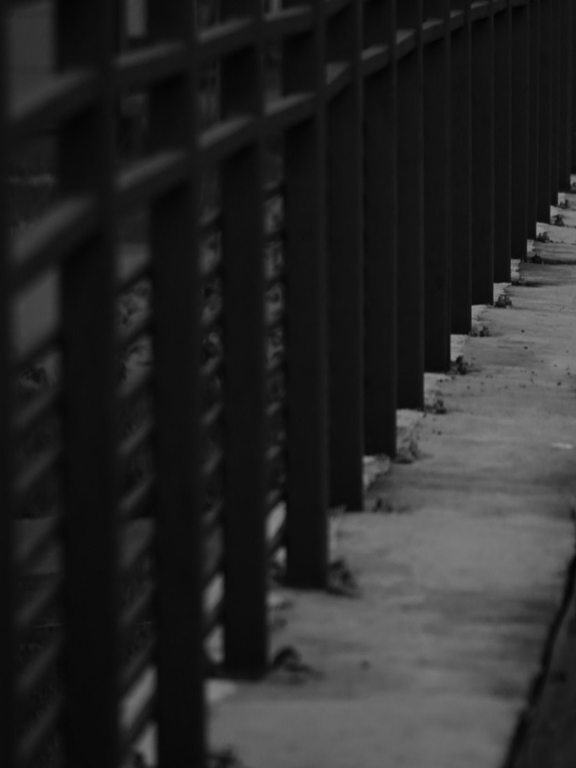 Чёрно-белая фотография ряда металлических столбов, уходящих вдаль по бетонной дорожке; перспектива создаёт эффект туннеля.