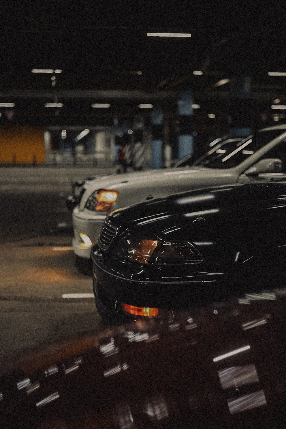 Сходки. Семейный фотограф Полина Легачева