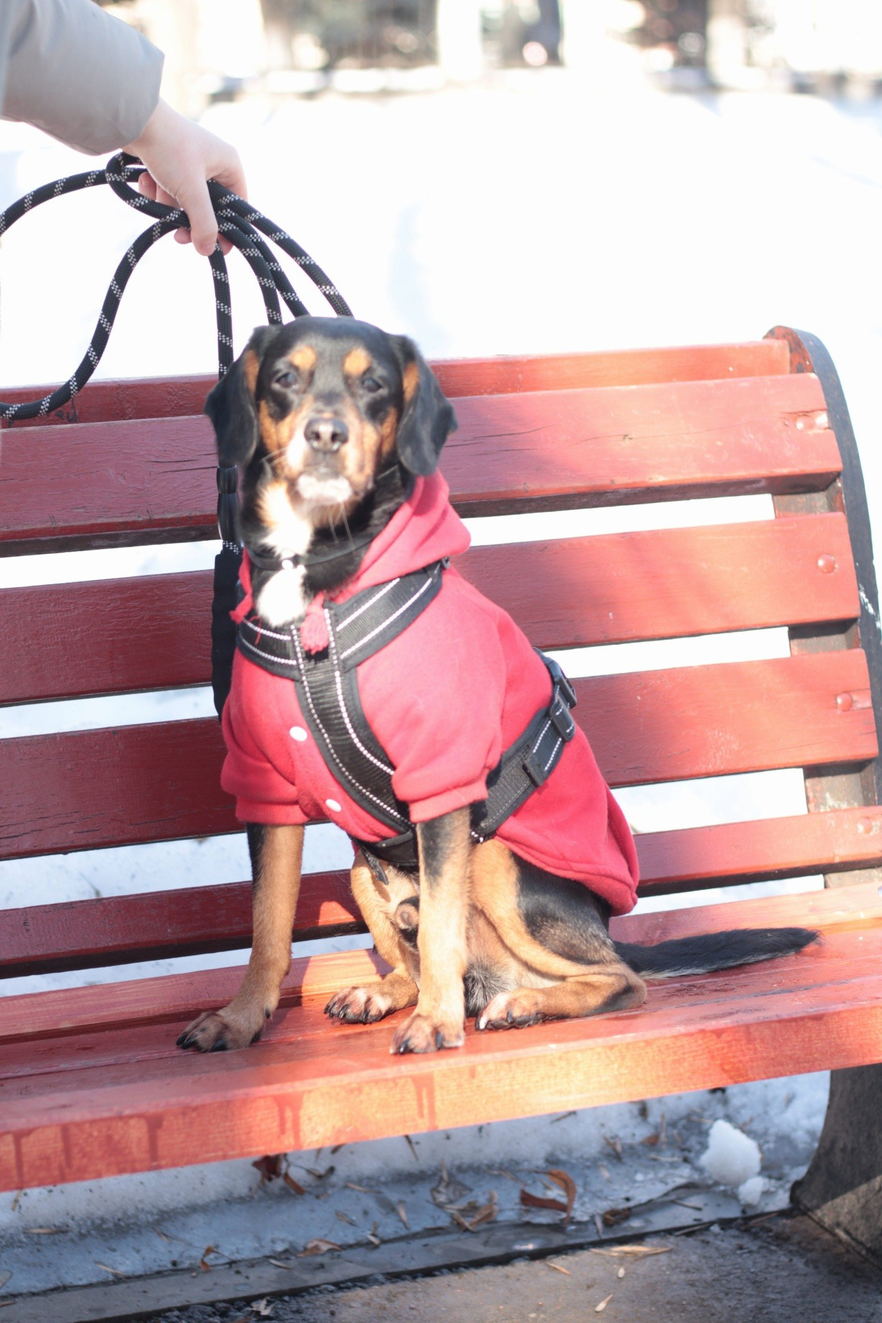 Маша и Кекс. Катя Попова|ЛайфСтайл фотограф