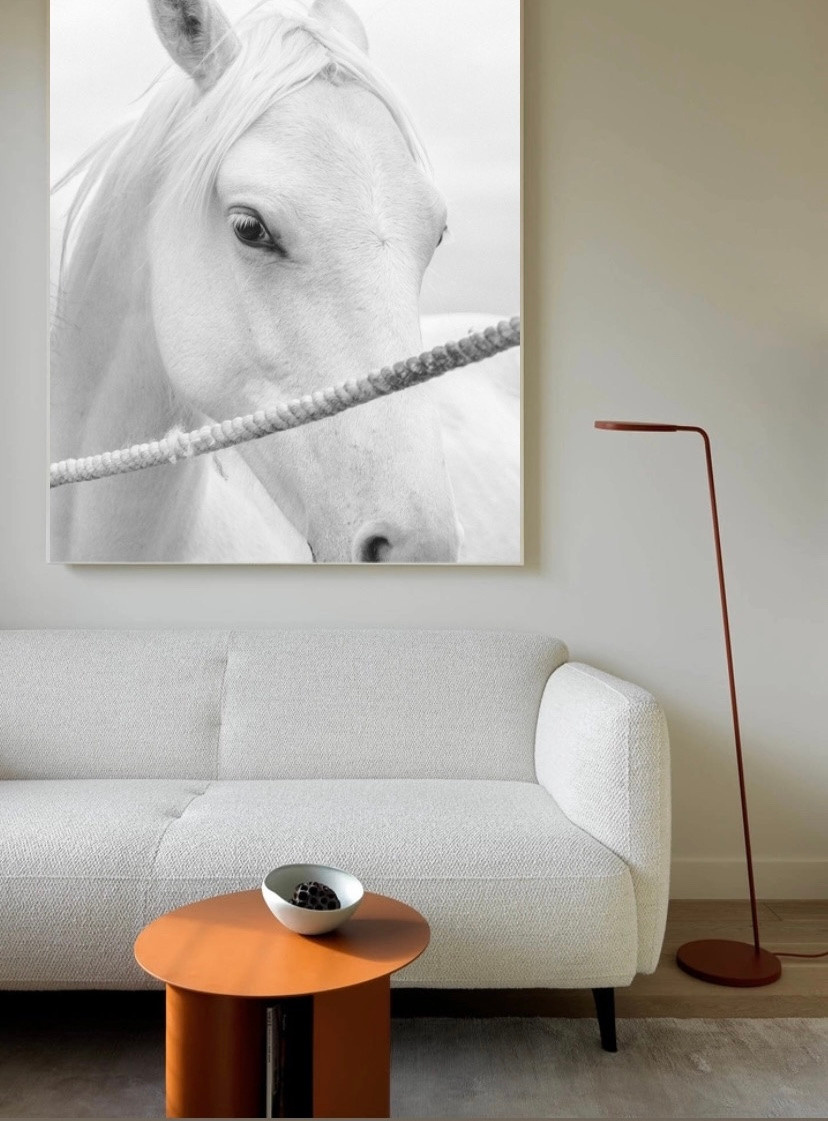 Принт 1. Конный фотограф в Калининграде Елена Курбатова