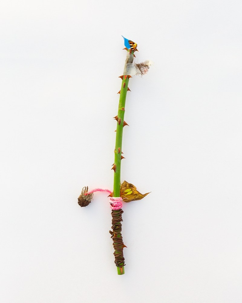 Острые предметы. Фотографии Саши Любина